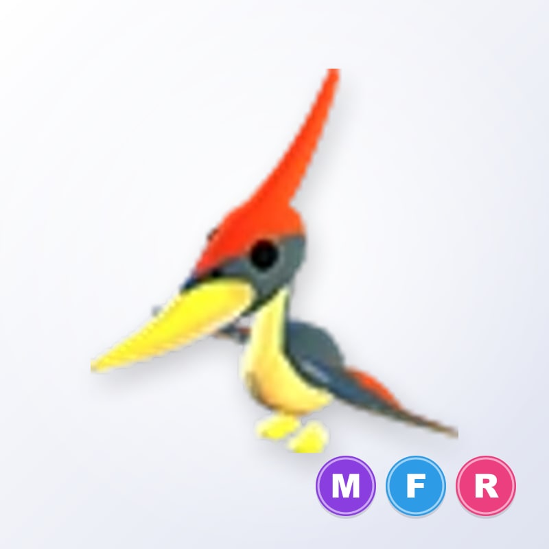Pterodactyl MFR | Adopt Me