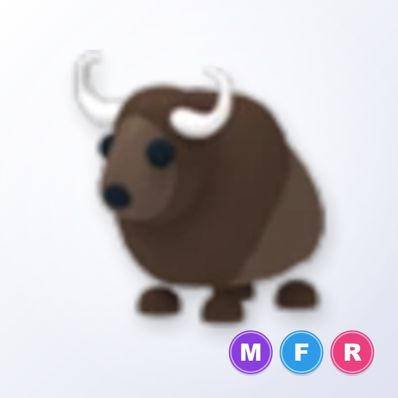 Buffalo MFR | Adopt Me