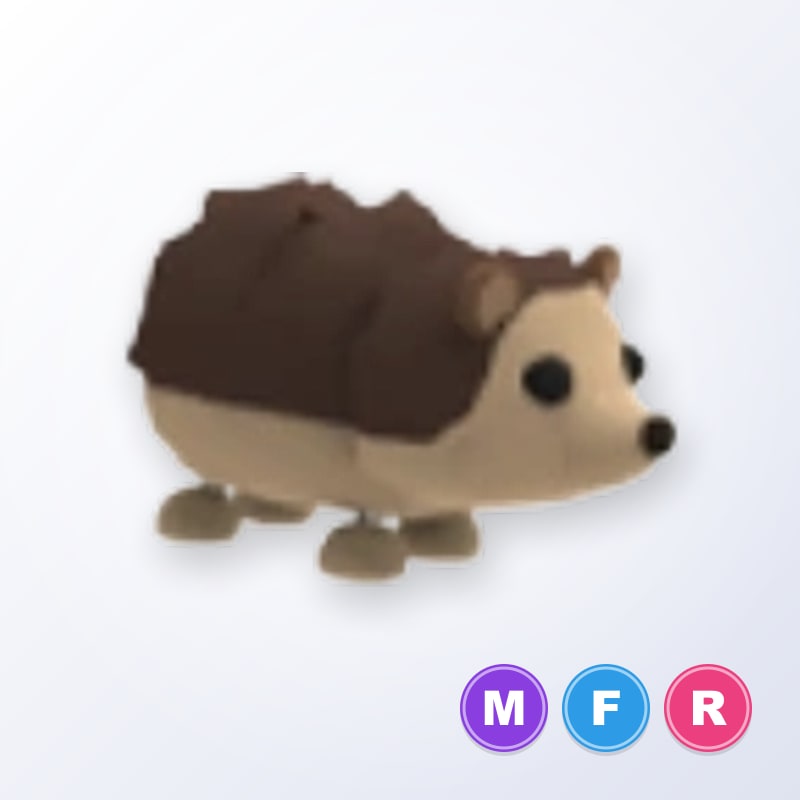 Hedgehog MFR | Adopt Me