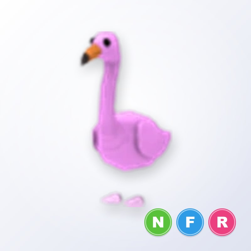 Flamingo NFR | Adopt Me