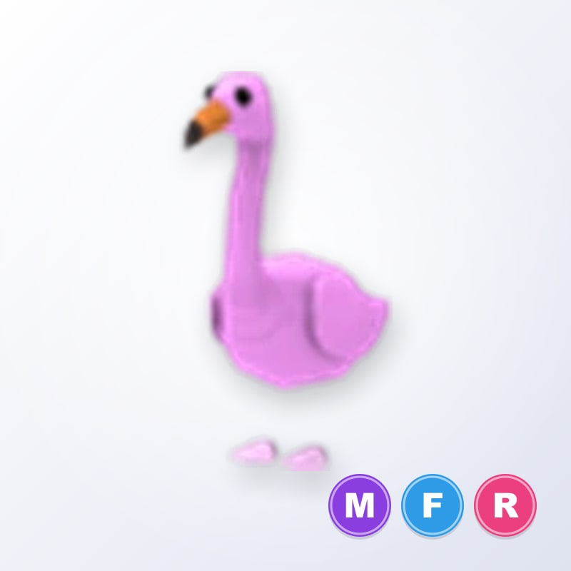 Flamingo MFR | Adopt Me