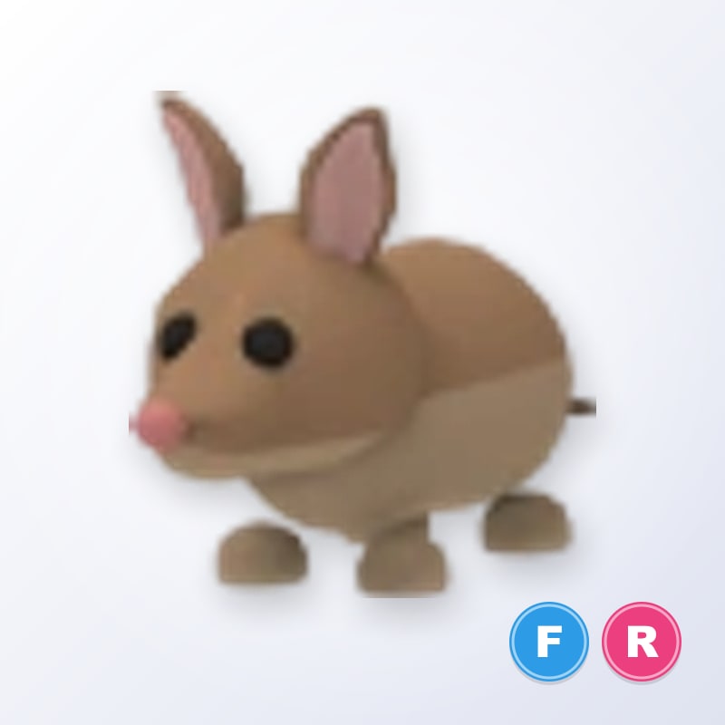 Bandicoot FR | Adopt Me