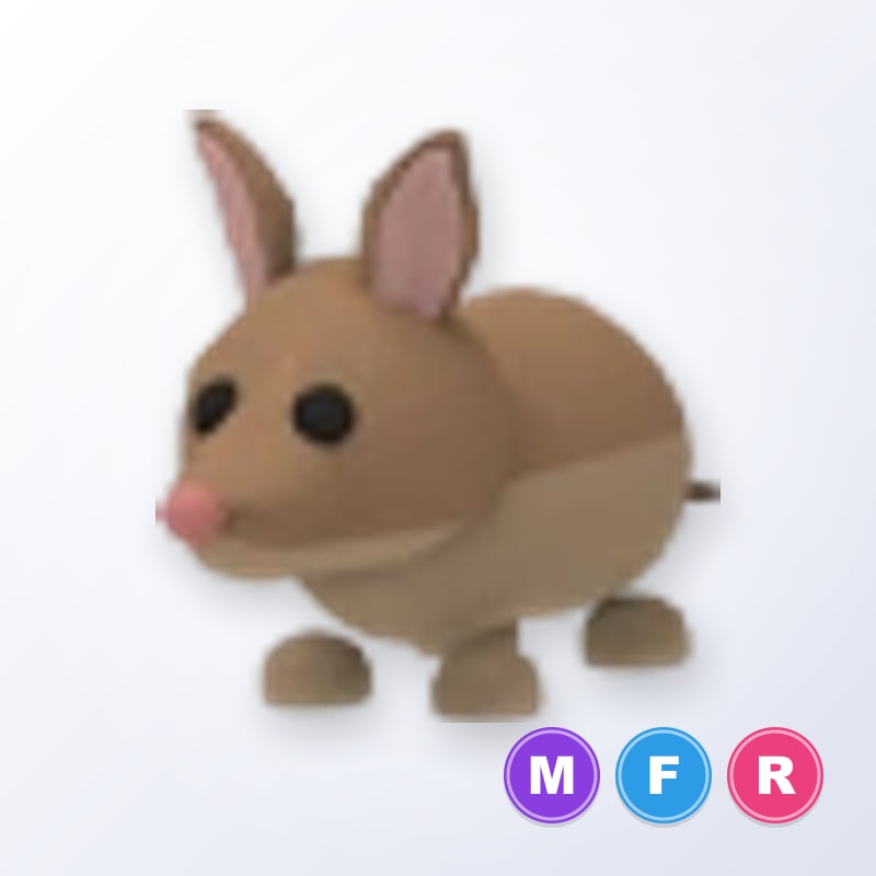 Bandicoot MFR | Adopt Me