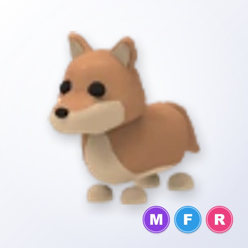 Dingo MFR | Adopt Me