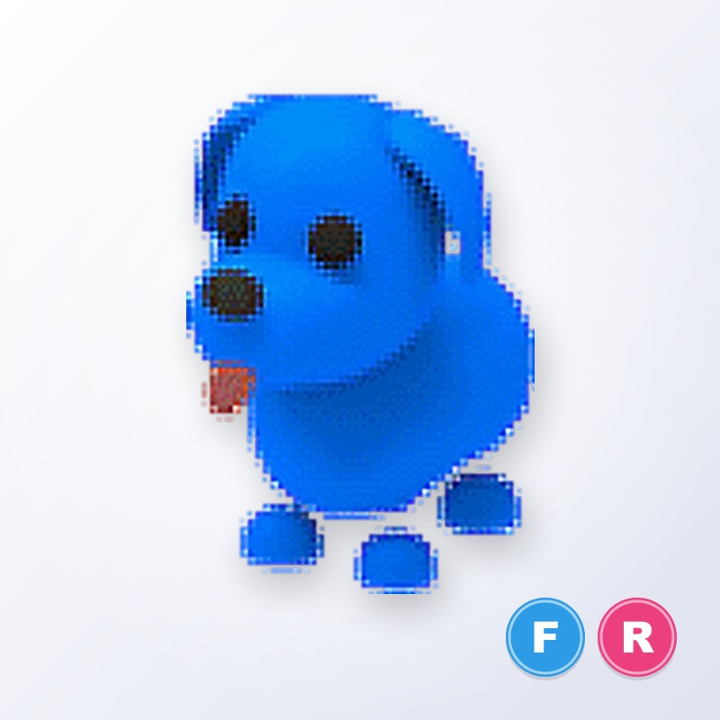Blue Dog FR | Adopt Me