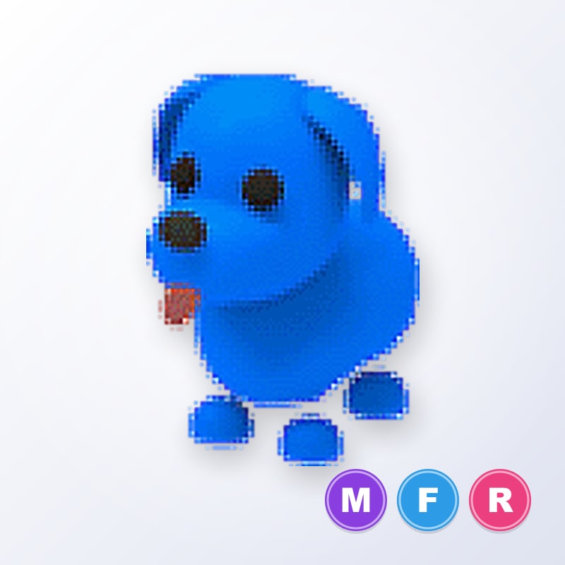 Blue Dog MFR | Adopt Me