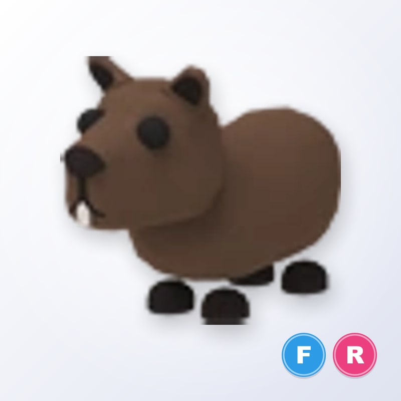 Capybara FR | Adopt Me