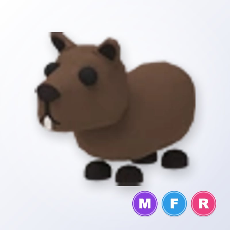 Capybara MFR | Adopt Me
