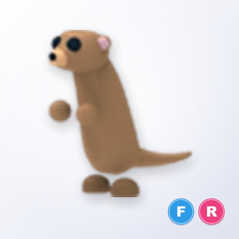 Meerkat FR | Adopt Me