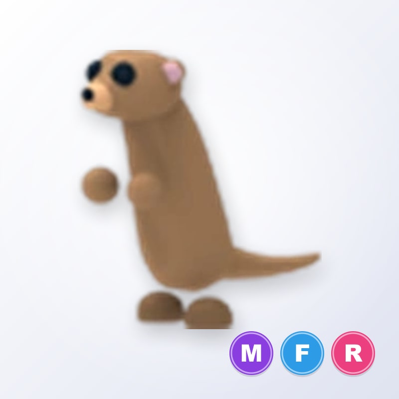 Meerkat MFR | Adopt Me