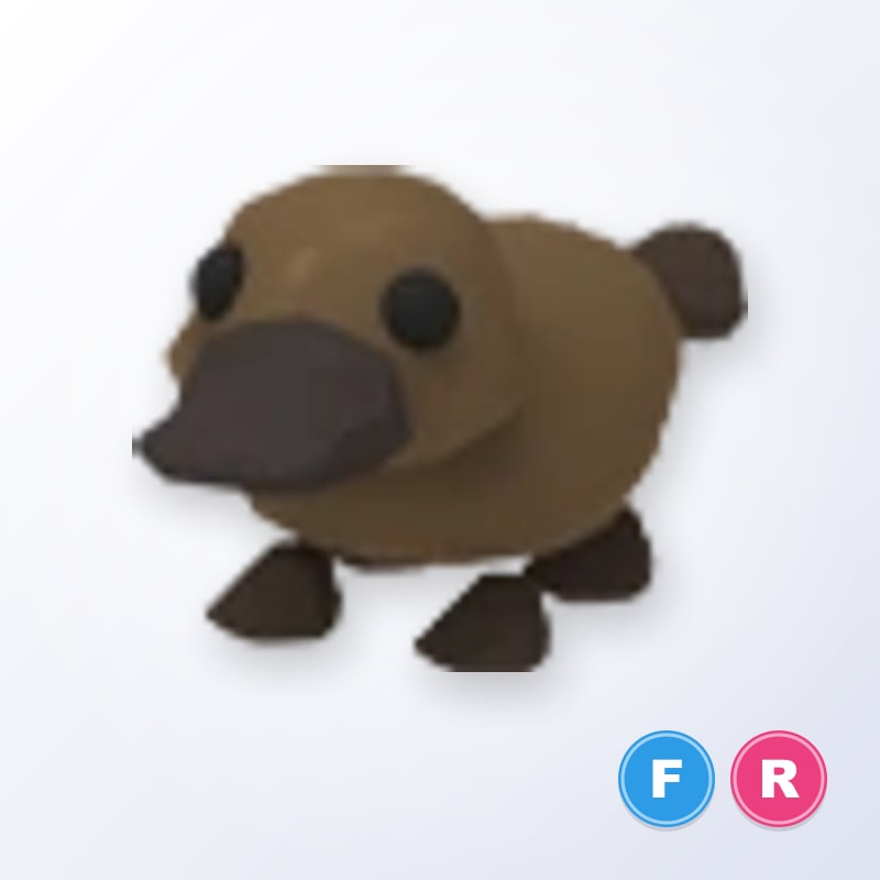 Platypus FR | Adopt Me