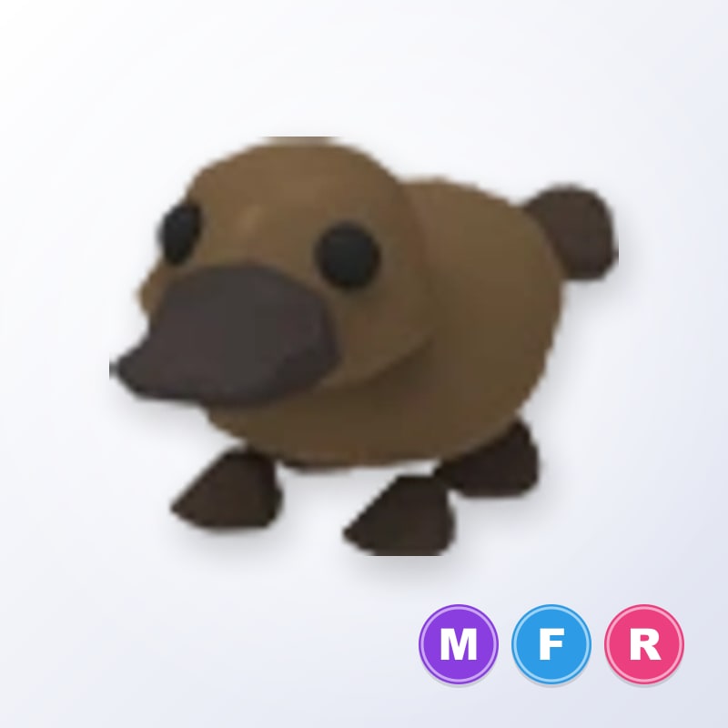 Platypus MFR | Adopt Me
