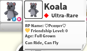 FR KOALA - ADOPT ME / ADOPT ME!