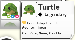 NFR TURTLE - ADOPT ME / ADOPT ME!