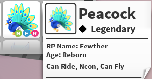 NFR PEACOCK - ADOPT ME / ADOPT ME!