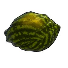 Ripe Watermelon