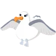FR Albatross - Junior > Adopt Me / Adopt Me!