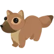F Pine Marten - Newborn > Adopt Me / Adopt Me!