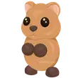 R Quokka - Post Teen > Adopt Me / Adopt Me!