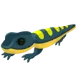 F Salamander - Post Teen > Adopt Me / Adopt Me!