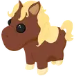 NR Shetland Pony Dark Brown - Sparkle > Adopt Me / Adopt Me!