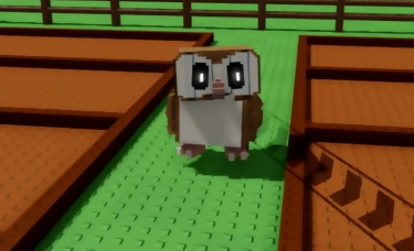 Barn Owl(PREMIUM OFFER) ⚡Fast delivery |Steal a Brainrot