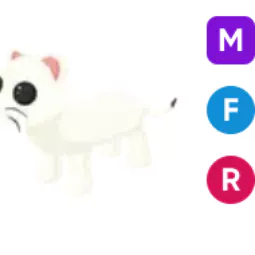 Ermine • 𝑴𝑭𝑹
