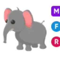 Elephant • 𝑴𝑭𝑹