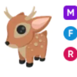 Fallow Deer • 𝑴𝑭𝑹