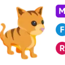 Ginger Cat • 𝑴𝑭𝑹