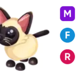 Siamese Cat • 𝑴𝑭𝑹