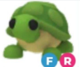 FR Turtle (Fast Delivery)- Adopt Me