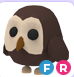 FR Owl (Fast Delivery)- Adopt Me