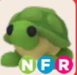 NFR Turtle (Fast Delivery)- Adopt Me