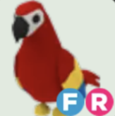 FR Parrot (Fast Delivery)- Adopt Me