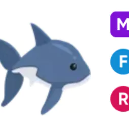 Shark • 𝑴𝑭𝑹 ⚡ Fast Delivery 🔥 Safe trade 💎