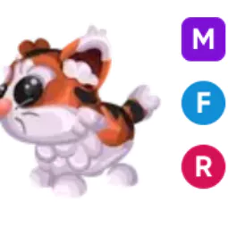 Munchkin Cat • 𝑴𝑭𝑹 ⚡ Fast Delivery 🔥 Safe trade 💎