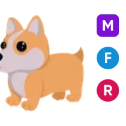 Corgi • 𝑴𝑭𝑹 ⚡ Fast Delivery 🔥 Safe trade 💎