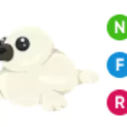 Harp Seal • 𝑵𝑭𝑹 ⚡ Fast Delivery 🔥 Safe trade 💎