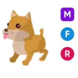 Shiba Inu • 𝑴𝑭𝑹 ⚡ Fast Delivery 🔥 Safe trade 💎