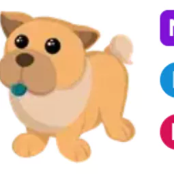 Tan Chow-Chow • 𝑴𝑭𝑹 ⚡ Fast Delivery 🔥 Safe trade 💎
