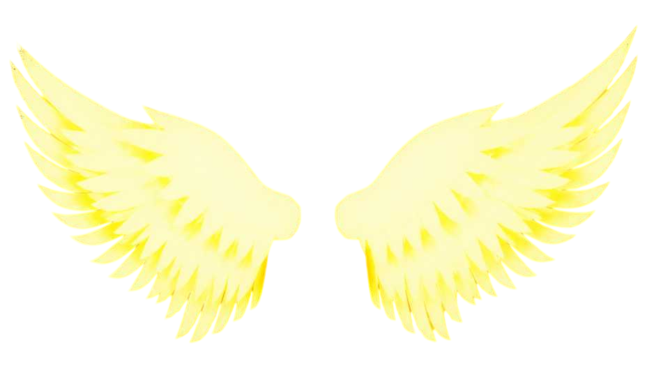 ANGEL WINGS | AOTR | INSTANT DELIVERY