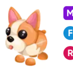 French Bulldog • 𝑴𝑭𝑹 ⚡ Fast Delivery 🔥 Safe trade 💎
