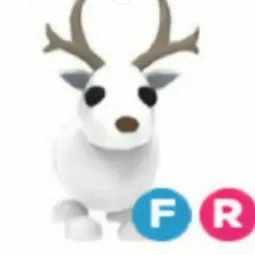 Arctic Reindeer FR
