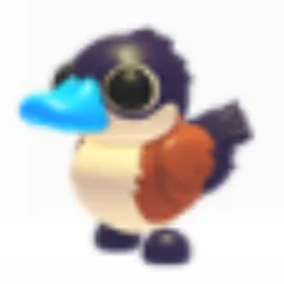Ruddy Duck