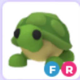 Turtle FR