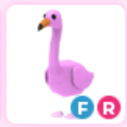 FR Flamingo