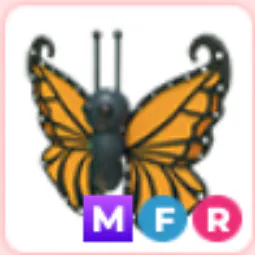 Orange Butterfly MFR