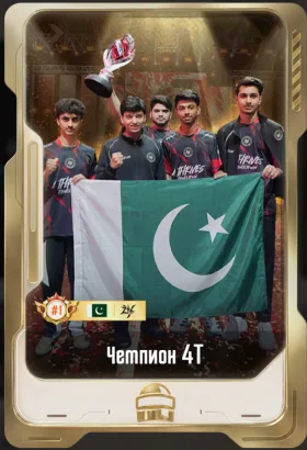 Champion 4T Cards | Gift