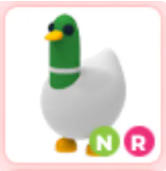 NR Silly Duck
